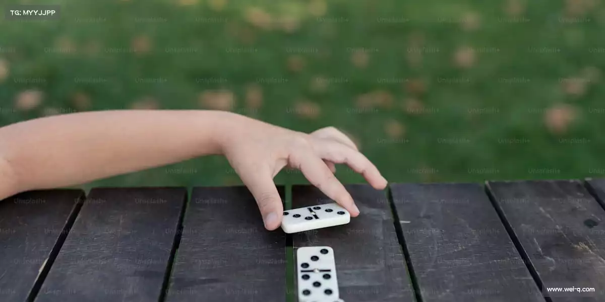 PA直营官网——每一行代码，都是对游戏热爱的证明✨